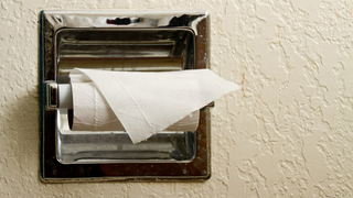 Toilet Paper: A Brief and Sometimes Painful History